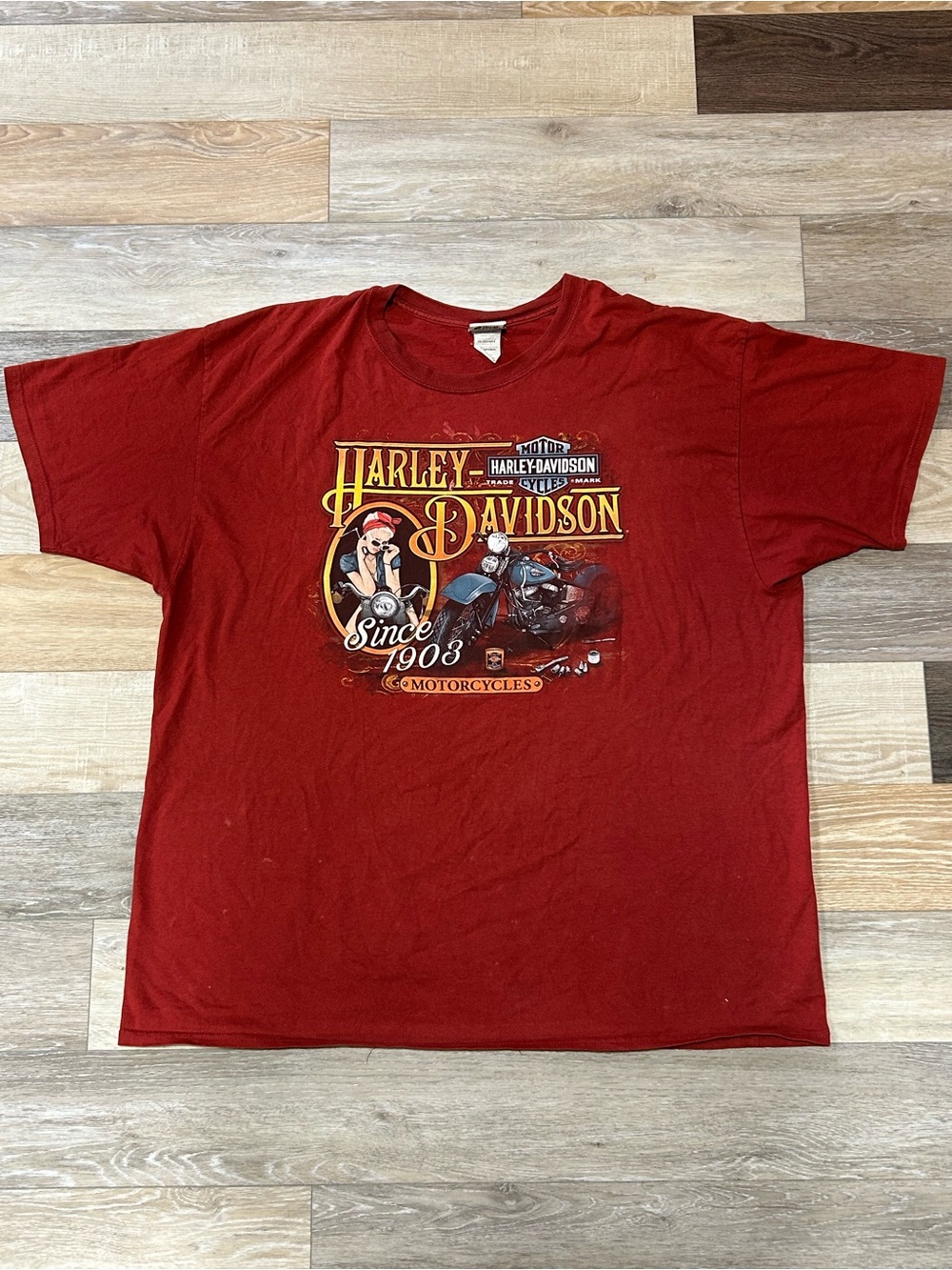 Harley-Davidson Men's Red Graphic T-Shirt